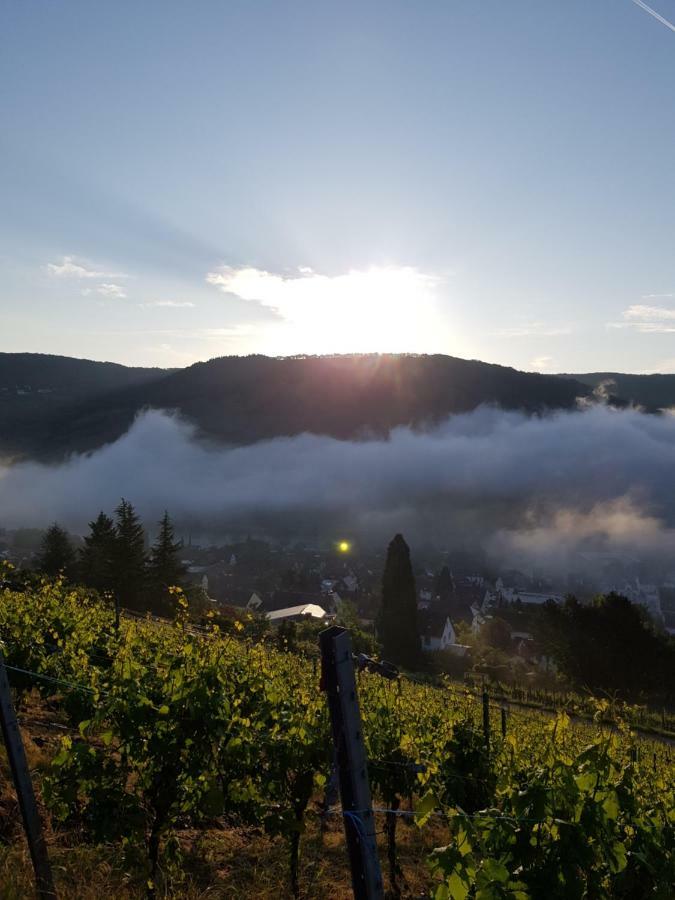 Mosella Ferienwohnungen Bernkastel-Kues Dış mekan fotoğraf